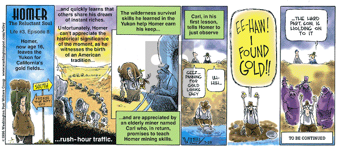 Non Sequitur on Sunday July 28, 1996 Comic Strip