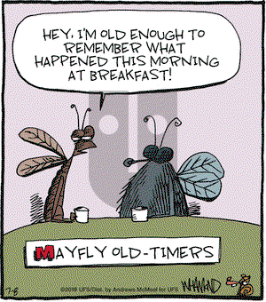 Reality Check on Monday July 8, 2019 Comic Strip