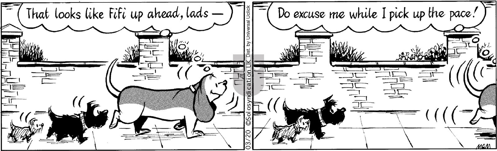 Fred Basset on Thursday March 20, 2014 Comic Strip