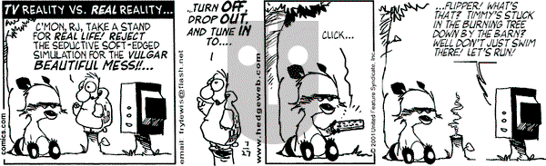 Over the Hedge on Friday July 27, 2001 Comic Strip