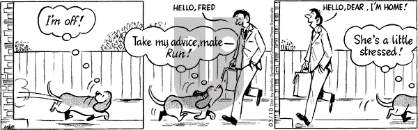 Fred Basset on Tuesday March 10, 2009 Comic Strip