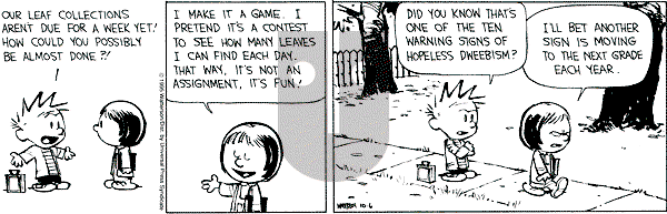 Calvin and Hobbes - Friday October 6, 1995 Comic Strip