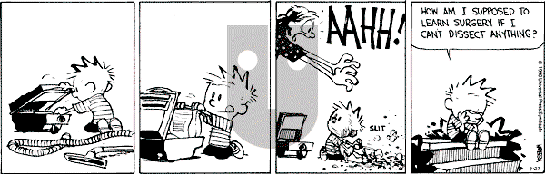 Calvin and Hobbes - Friday July 27, 1990 Comic Strip
