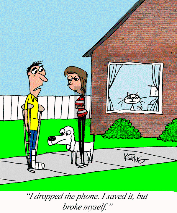 Jerry King Comics on Tuesday August 12, 2025 Comic Strip