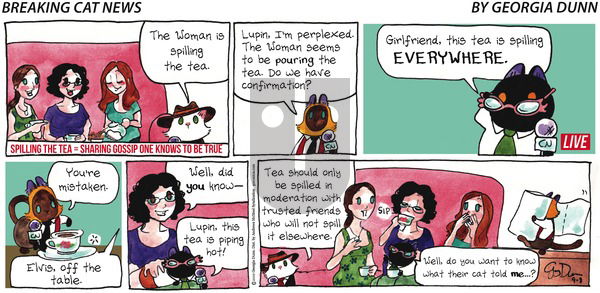 Breaking Cat News on Sunday September 8, 2019 Comic Strip