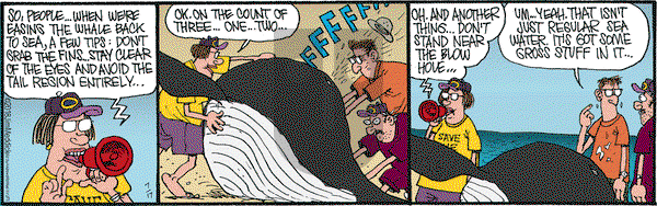 Monty on Tuesday July 17, 2018 Comic Strip