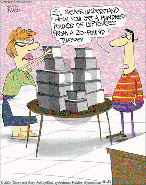 The Flying McCoys - Friday November 29, 2024 Comic Strip
