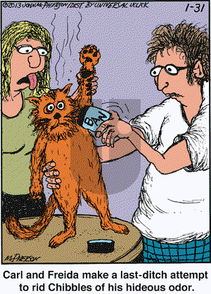 Close to Home on Thursday January 31, 2013 Comic Strip