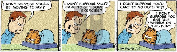 Garfield - Tuesday July 15, 2008 Comic Strip