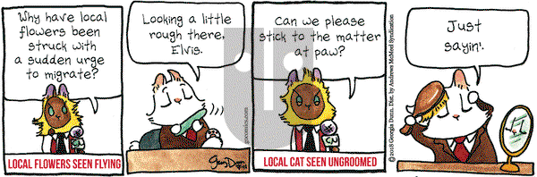 Breaking Cat News on Wednesday July 11, 2018 Comic Strip