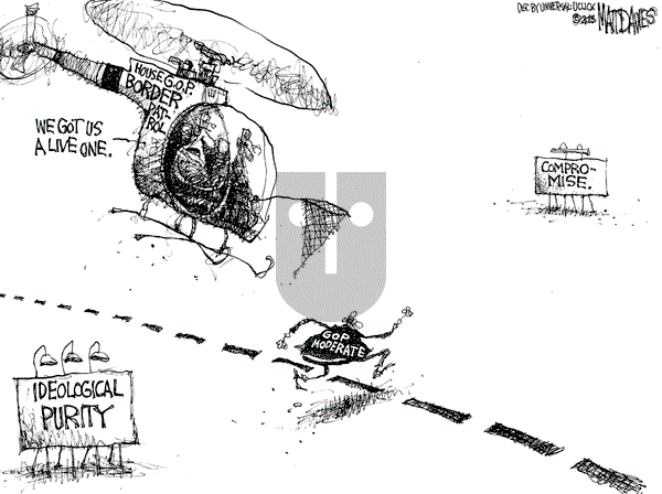 Matt Davies on Thursday July 4, 2013 Comic Strip