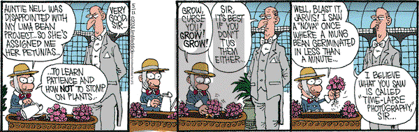 Monty - Saturday May 11, 2024 Comic Strip