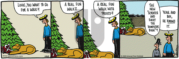 Overboard on Tuesday December 23, 2008 Comic Strip