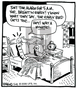 Reality Check - Friday May 19, 2006 Comic Strip