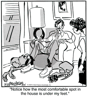 Marmaduke on Monday September 30, 2002 Comic Strip