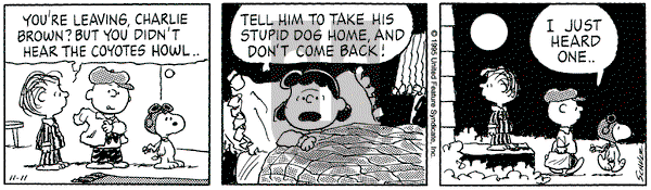 Peanuts on Saturday November 11, 1995 Comic Strip