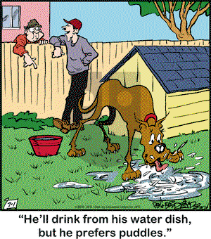 Marmaduke on Wednesday July 1, 2015 Comic Strip