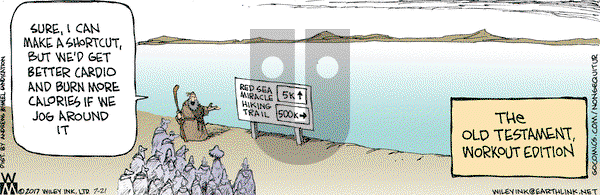 Non Sequitur on Friday July 21, 2017 Comic Strip