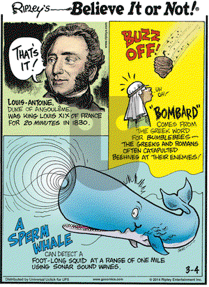 Ripley's Believe It or Not on Tuesday March 4, 2014 Comic Strip