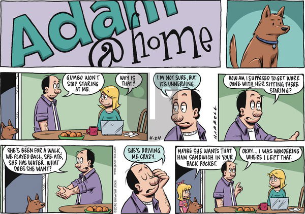 Adam@Home on Sunday April 24, 2016 Comic Strip