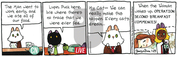 Breaking Cat News on Monday January 29, 2018 Comic Strip