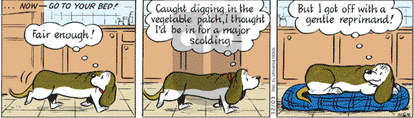 Fred Basset on Friday December 3, 2010 Comic Strip
