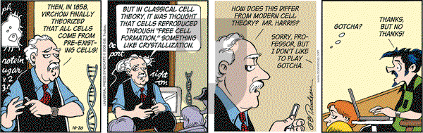 Doonesbury on Monday October 20, 2008 Comic Strip