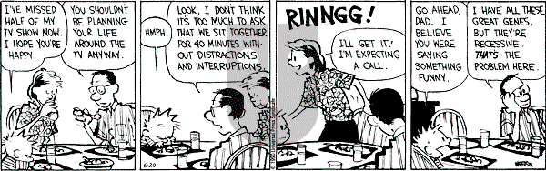 Calvin and Hobbes - Wednesday June 20, 1990 Comic Strip