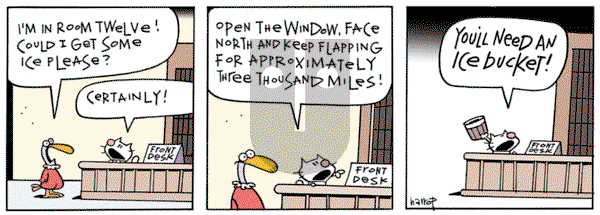 Ten Cats - Tuesday December 18, 2012 Comic Strip