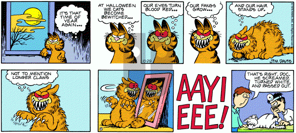 Garfield on Sunday October 29, 1978 Comic Strip