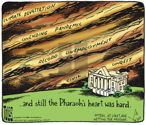 Tom Toles on Monday June 29, 2020 Comic Strip