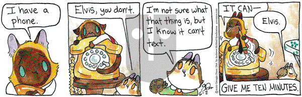 Breaking Cat News - Thursday June 2, 2022 Comic Strip