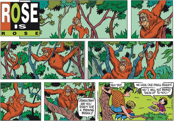 Rose is Rose on Sunday June 21, 2020 Comic Strip