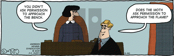 The Fusco Brothers - Thursday May 30, 2024 Comic Strip