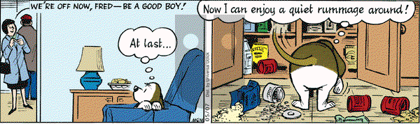 Fred Basset on Friday May 7, 2010 Comic Strip