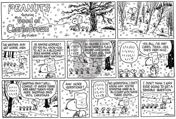 Peanuts on Sunday November 26, 1978 Comic Strip