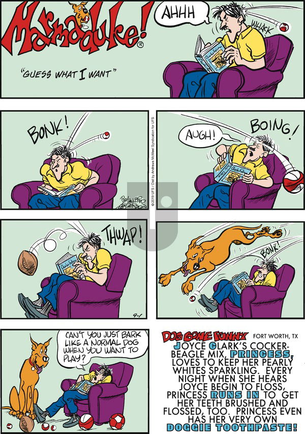 Marmaduke on Sunday September 1, 2019 Comic Strip