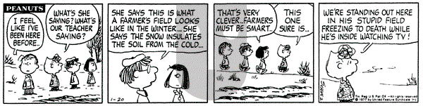 Peanuts on Thursday January 20, 1977 Comic Strip
