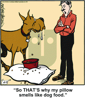 Marmaduke on Monday February 14, 2022 Comic Strip