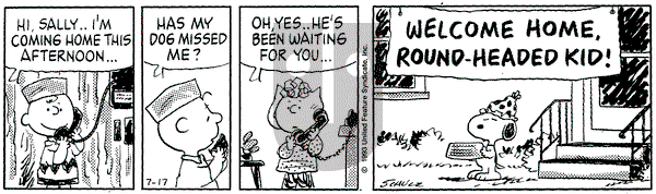 Peanuts - Saturday July 17, 1993 Comic Strip