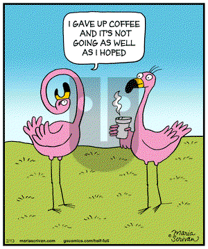 Half Full on Friday February 13, 2015 Comic Strip