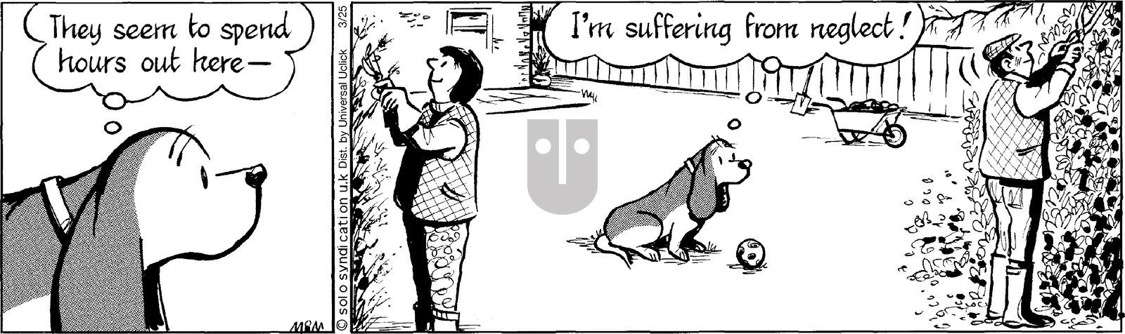 Fred Basset on Tuesday March 25, 2014 Comic Strip