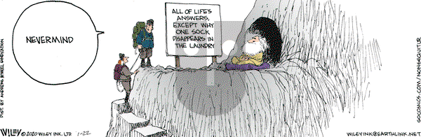Non Sequitur on Wednesday January 22, 2020 Comic Strip