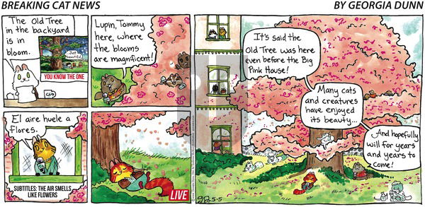 Breaking Cat News - Sunday May 5, 2024 Comic Strip