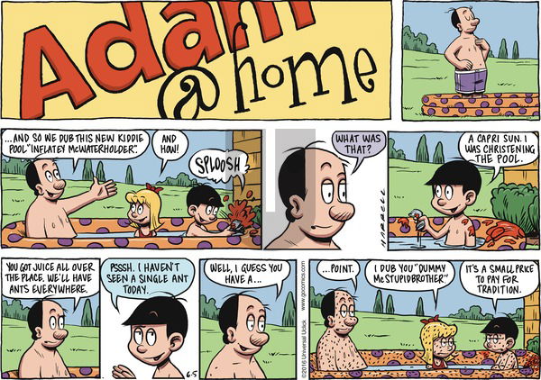 Adam@Home on Sunday June 5, 2016 Comic Strip