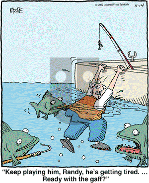 In the Bleachers on Thursday November 14, 2002 Comic Strip