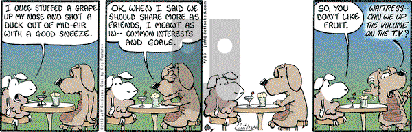 DeFlocked on Tuesday July 13, 2010 Comic Strip