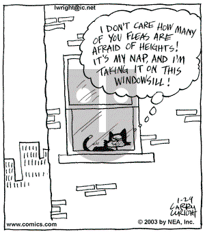 Kit 'N' Carlyle on Wednesday January 29, 2003 Comic Strip