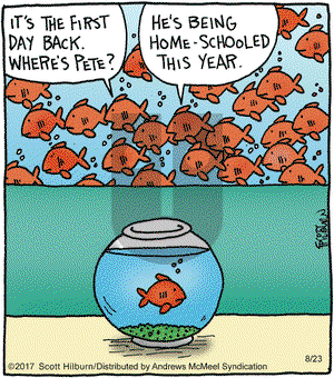 The Argyle Sweater on Wednesday August 23, 2017 Comic Strip