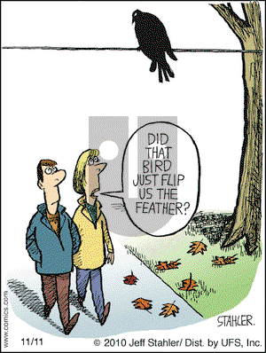 Moderately Confused on Thursday November 11, 2010 Comic Strip